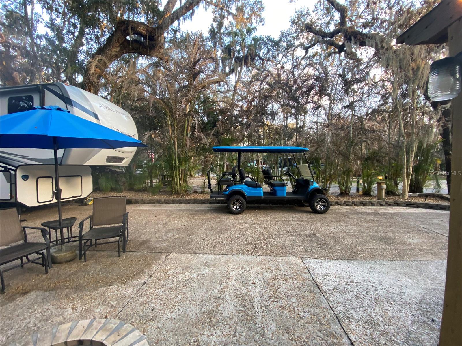 Image 4 of 11 For 313 Gator Alley