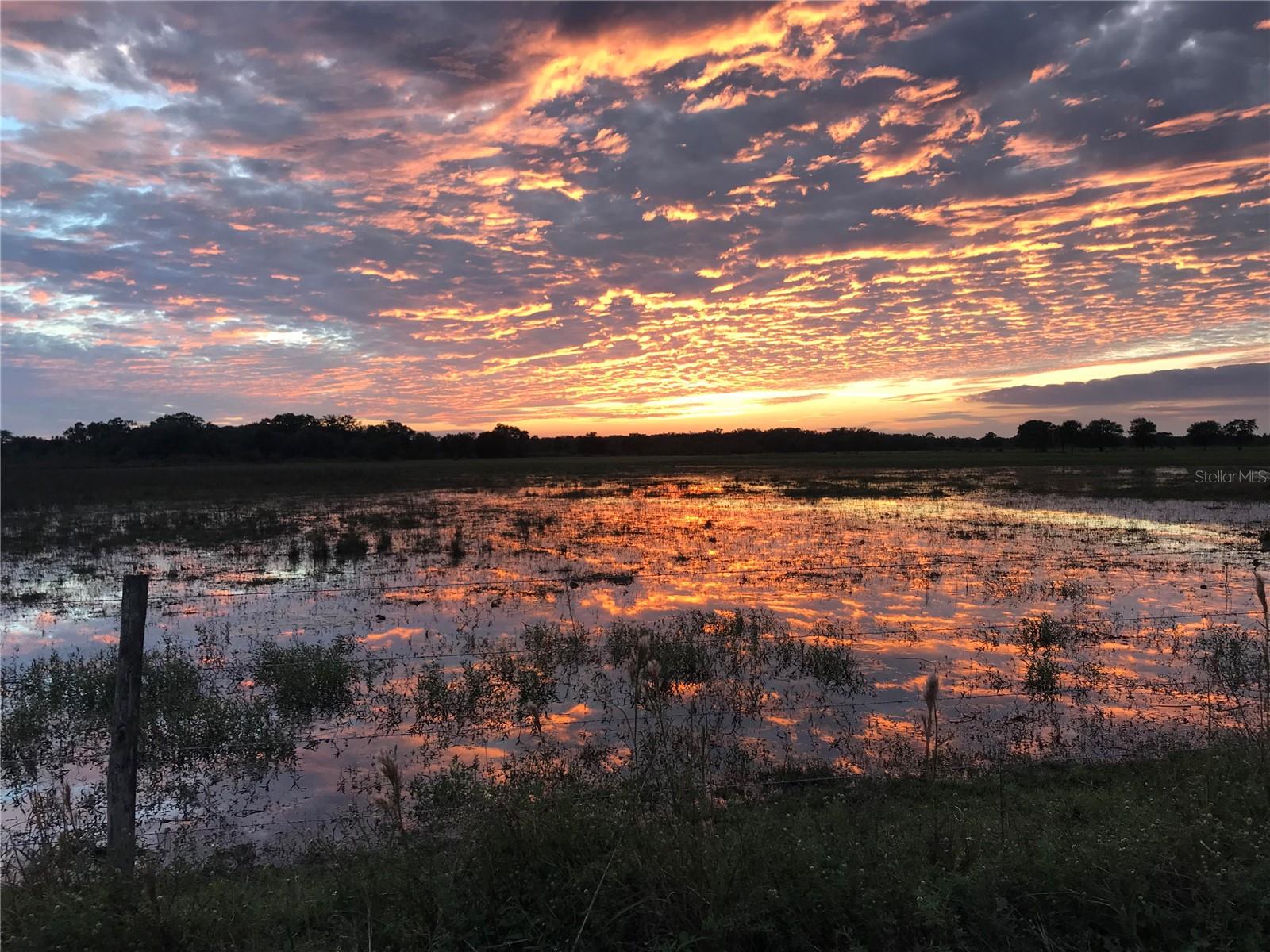 Image 8 of 11 For 313 Gator Alley
