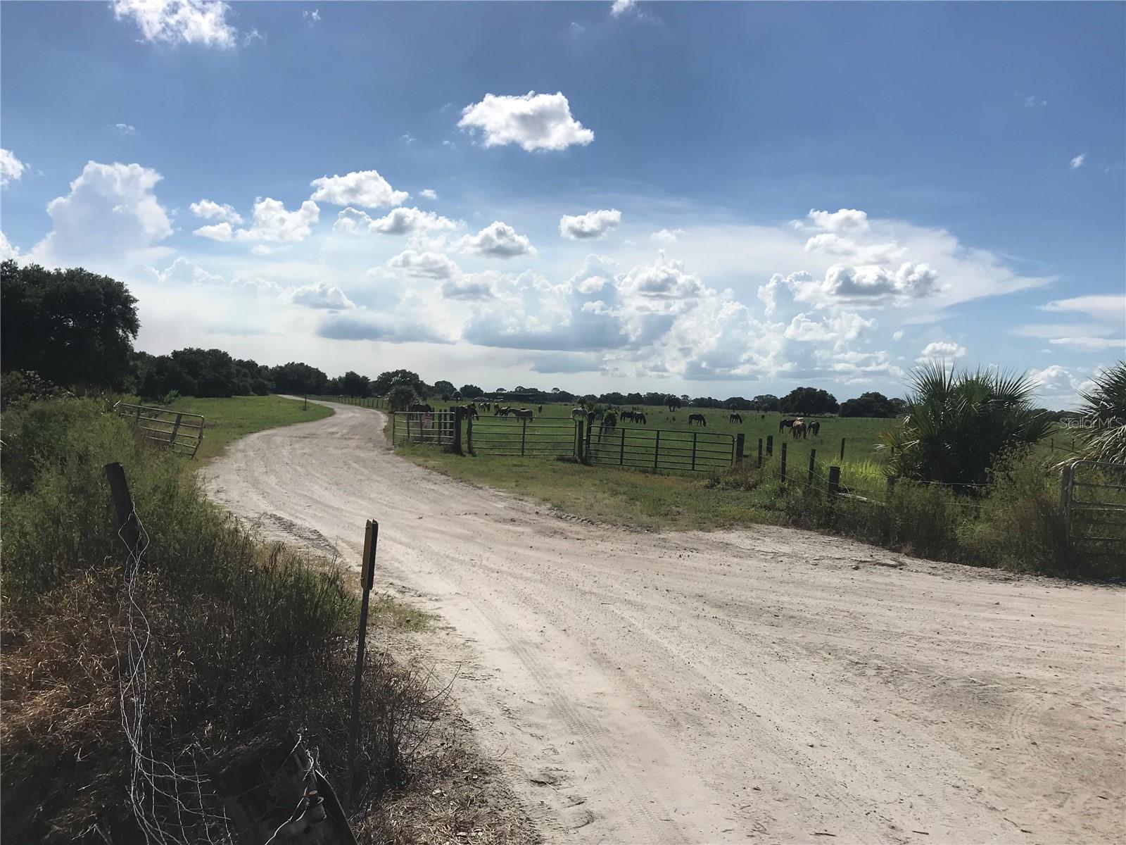 Image 9 of 11 For 313 Gator Alley