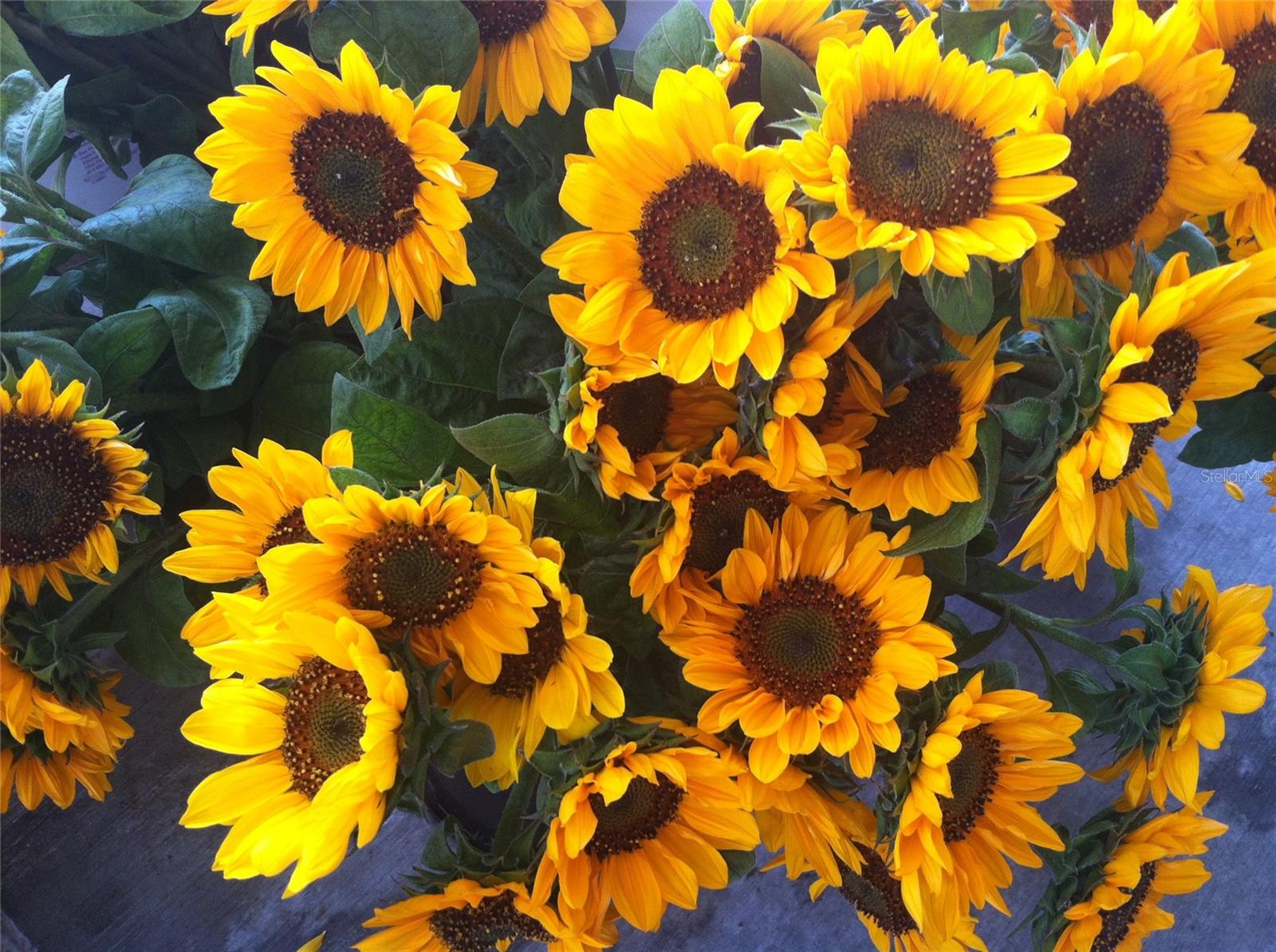 Image 60 of 60 For 1714 Celtic Drive 204