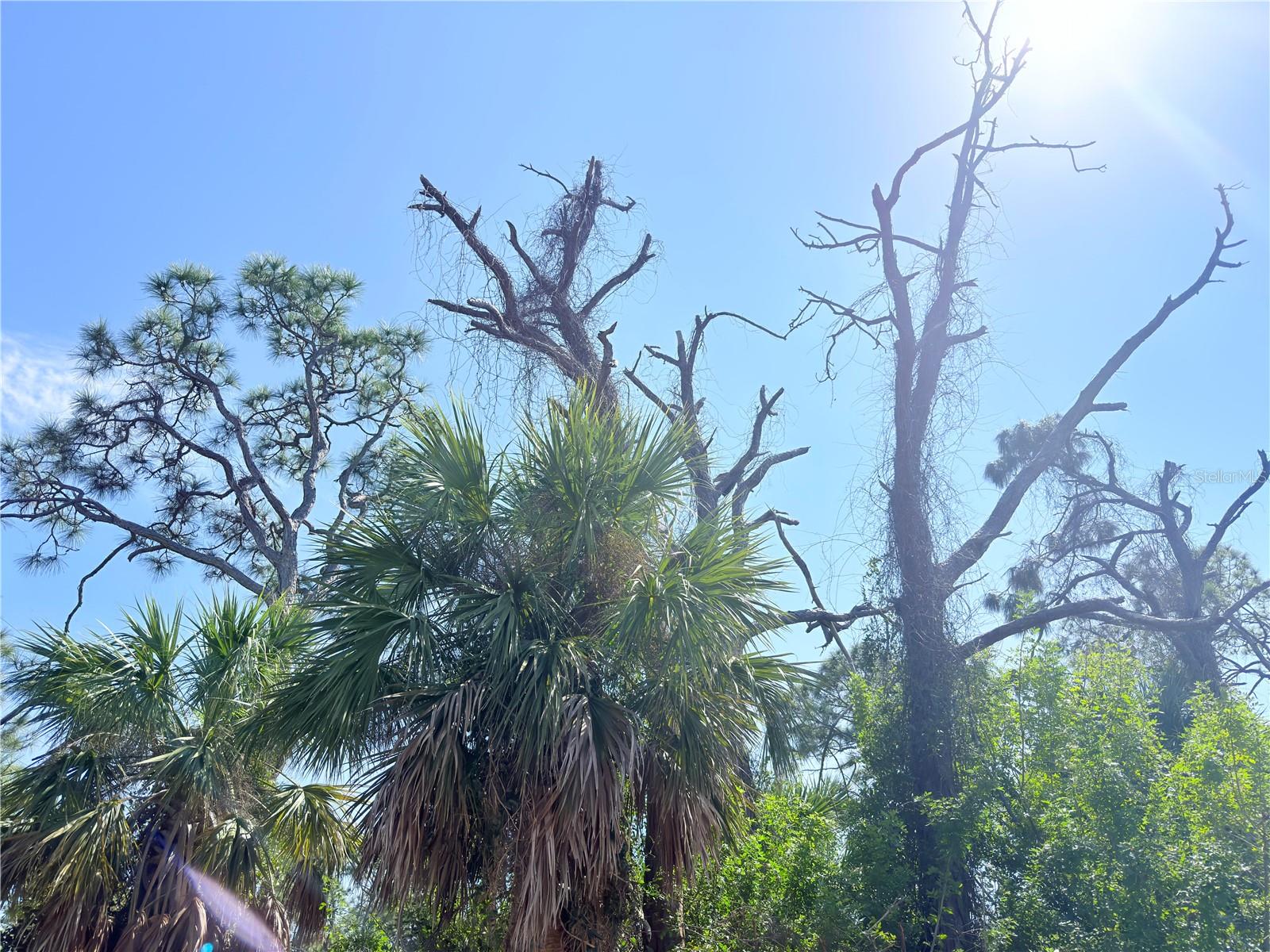 Image 10 of 11 For 2801 12th Street