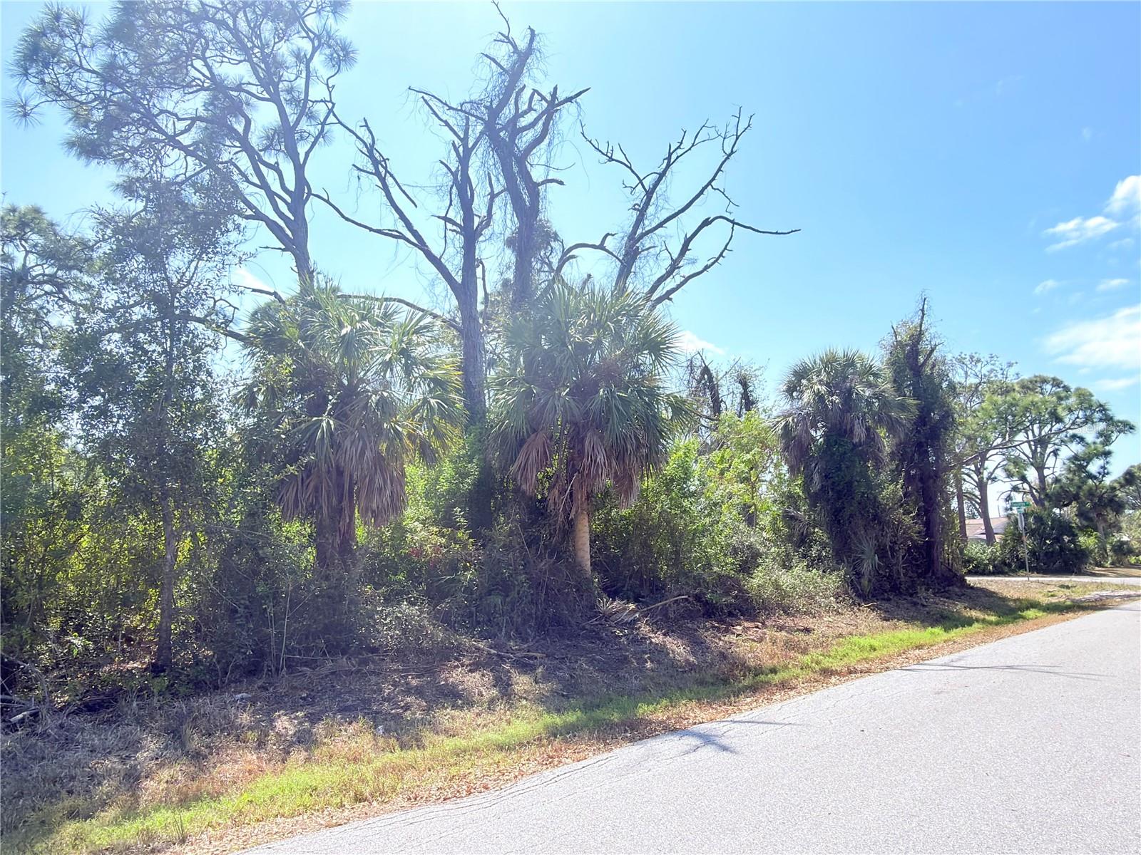 Image 4 of 11 For 2801 12th Street