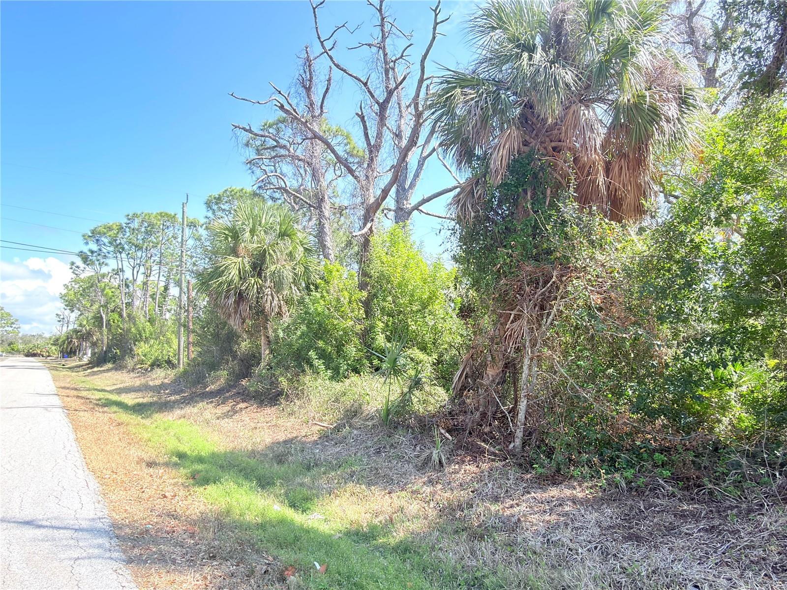 Image 5 of 11 For 2801 12th Street