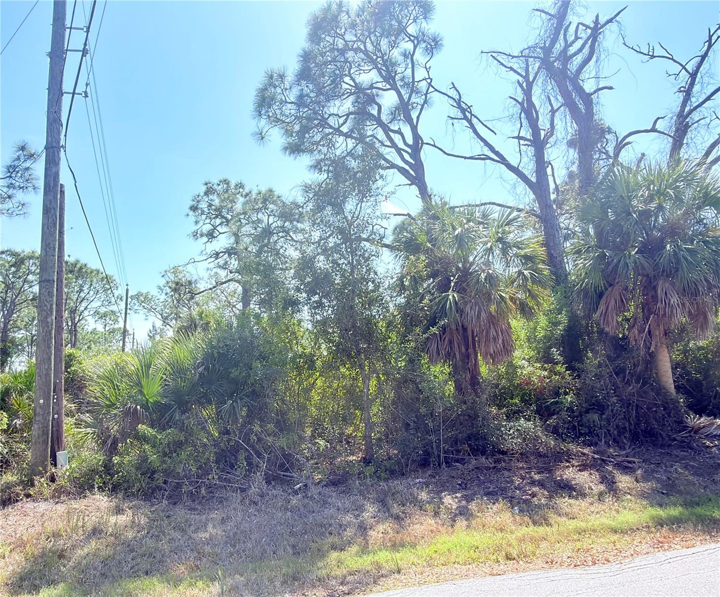 Image 6 of 11 For 2801 12th Street