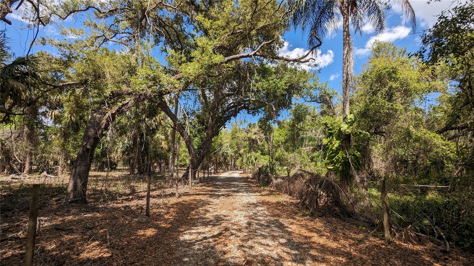 Image 7 of 13 For 33101 Serene Drive