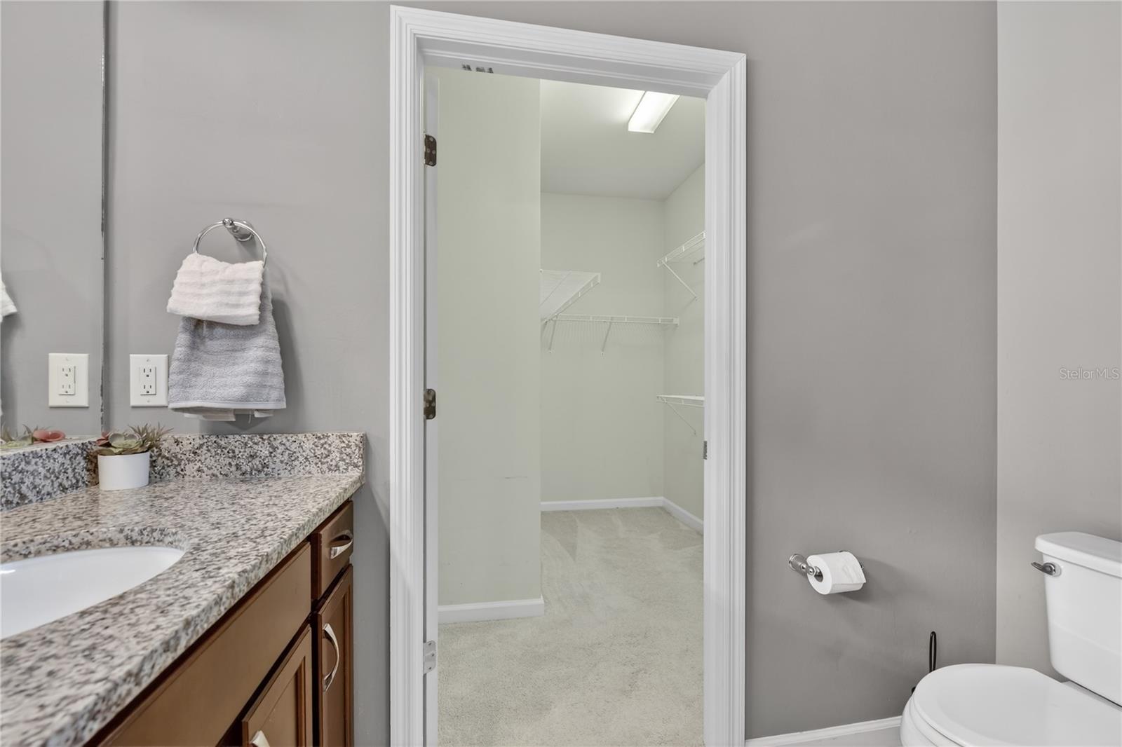 Image 30 of 74 For 2555 Brassica Drive