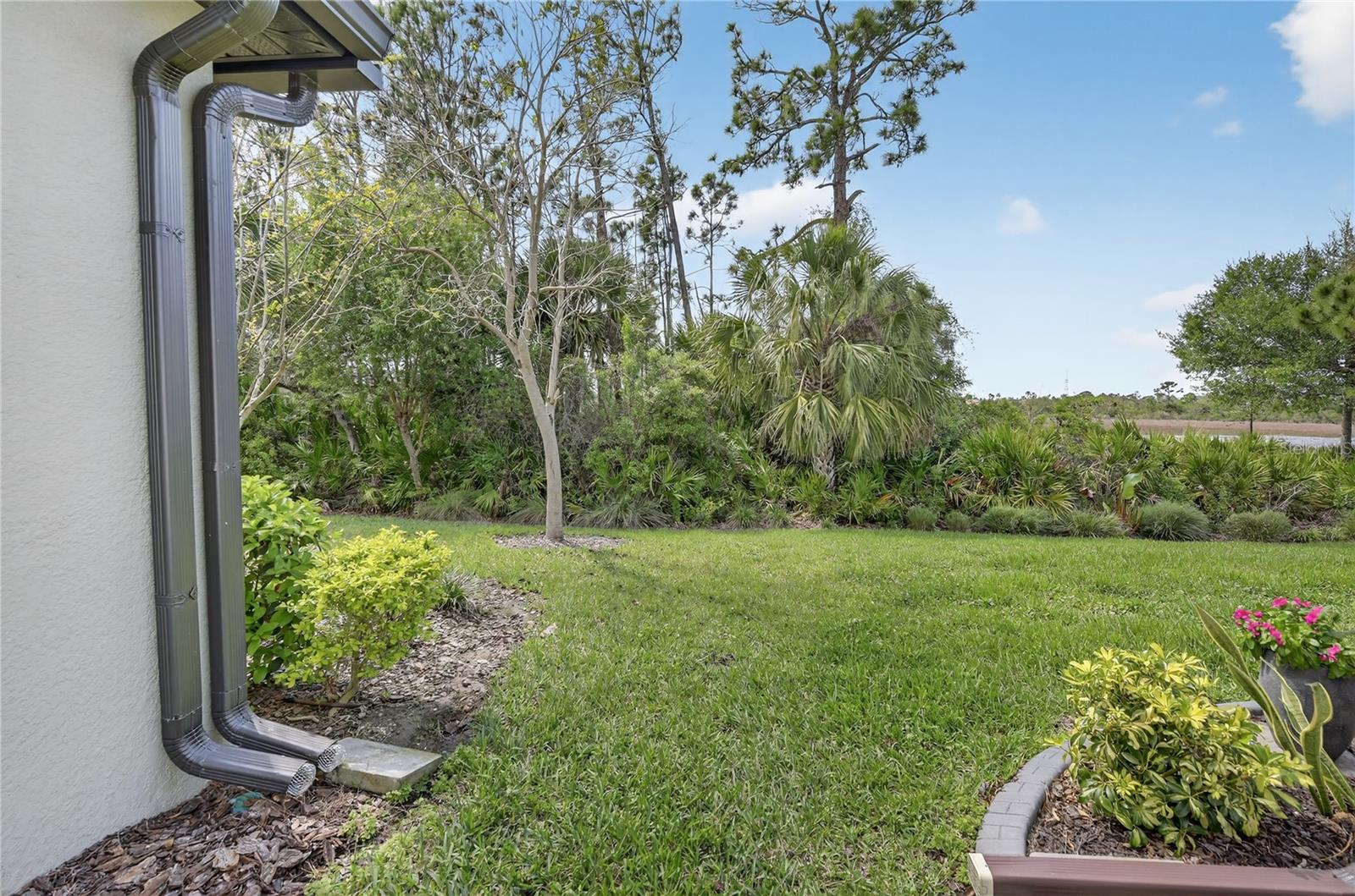 Image 38 of 74 For 2555 Brassica Drive