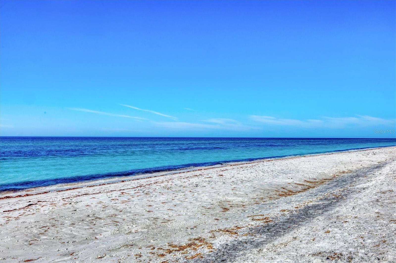 Image 35 of 45 For 301 Gulf Boulevard 10