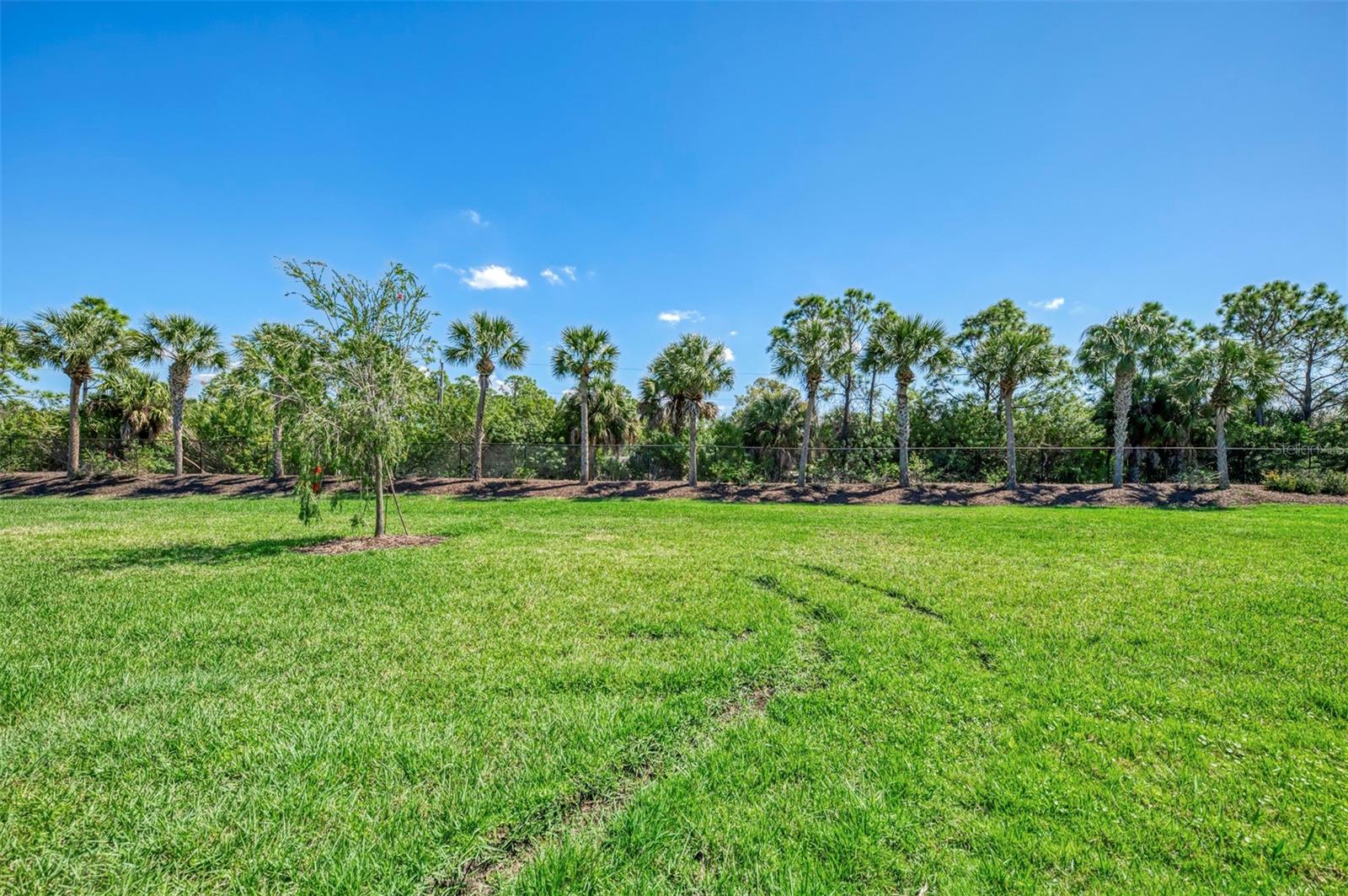 Image 64 of 100 For 2635 Myakka Marsh Lane