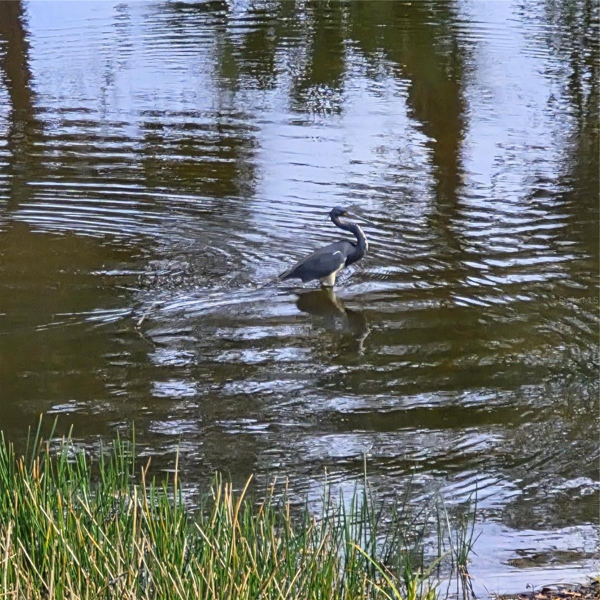 Image 71 of 87 For 14016 Willow Glen Court 212