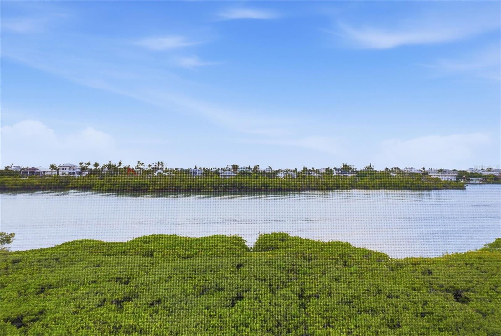 Image 39 of 69 For 11160 Hacienda Del Mar Boulevard D-303