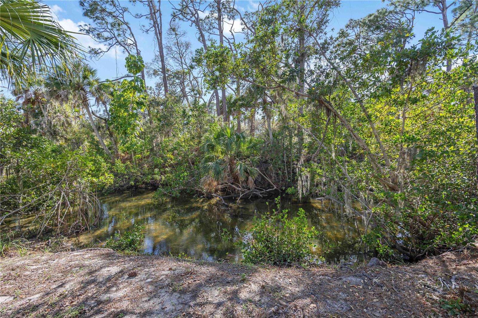 Image 50 of 67 For 9707 Nostalgia Place