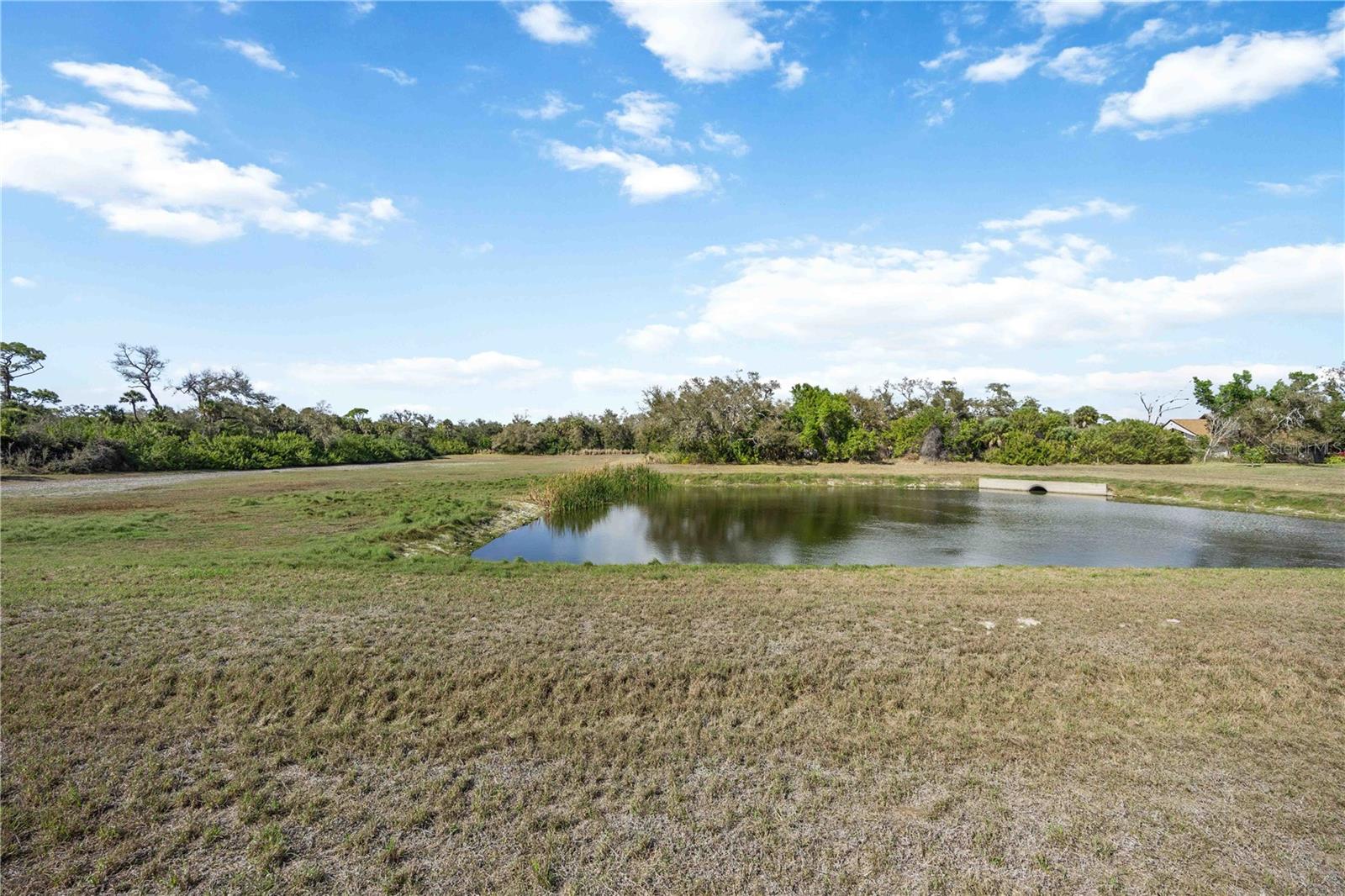 Image 56 of 67 For 9707 Nostalgia Place