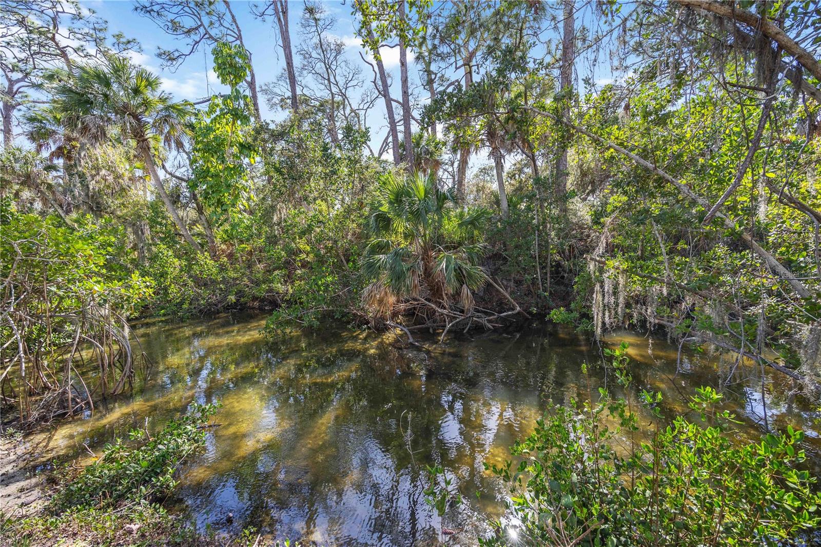 Image 7 of 67 For 9707 Nostalgia Place