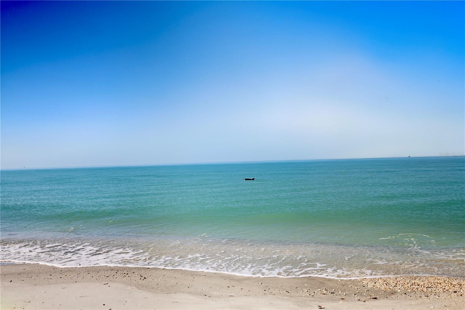 Image 6 of 12 For 430 Gulf Boulevard