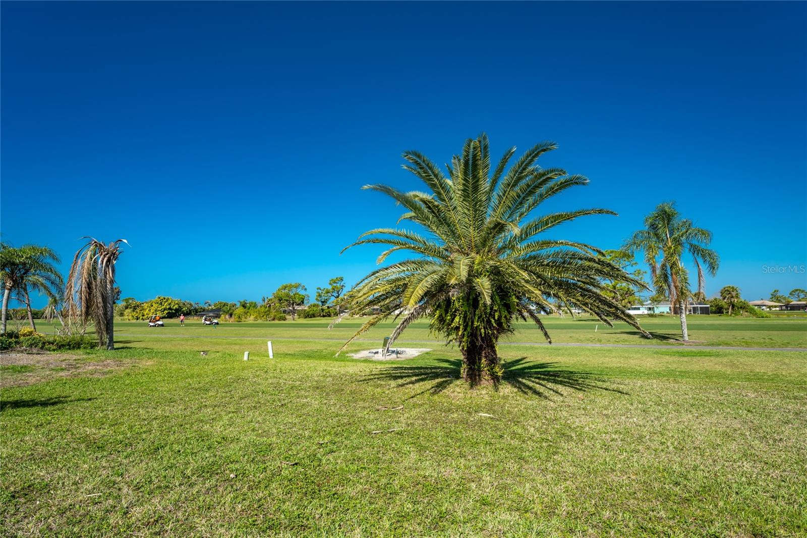 Image 42 of 61 For 72 Oakland Hills Court