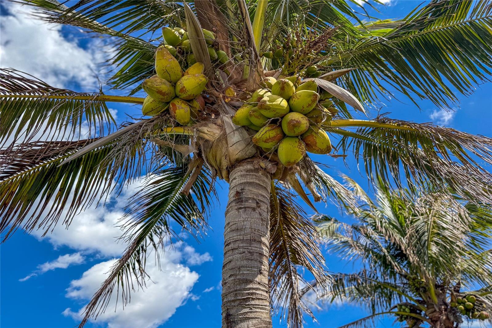 Listing photo id 64 for 6875 Manasota Key Road