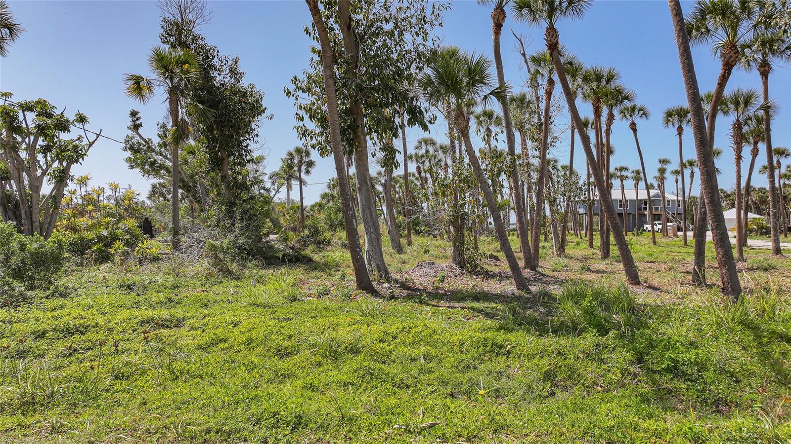 Image 13 of 23 For 9491 & 9499 Downing Street