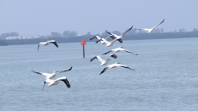 Image 21 of 33 For 7500 Park Pointe Drive 52