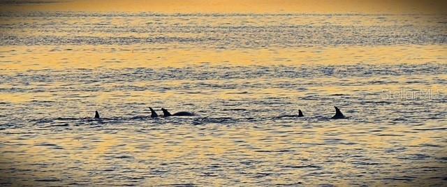 Image 26 of 33 For 7500 Park Pointe Drive 52