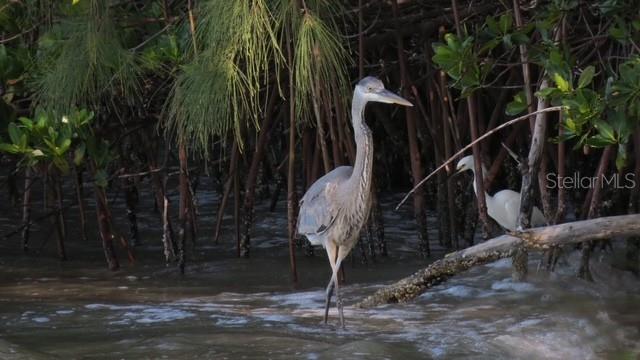 Image 29 of 33 For 7500 Park Pointe Drive 52