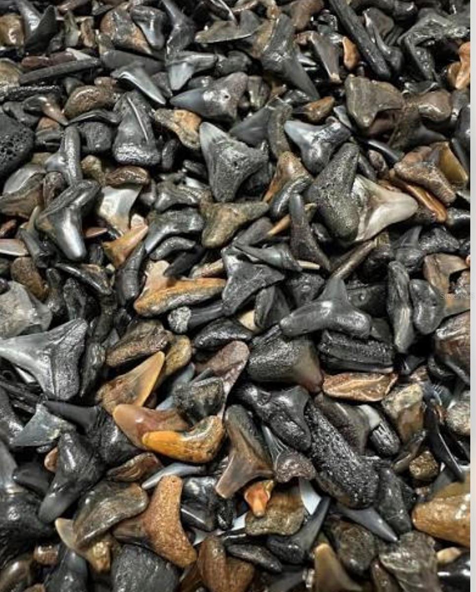 Image 81 of 89 For 15260 Leipzig Circle