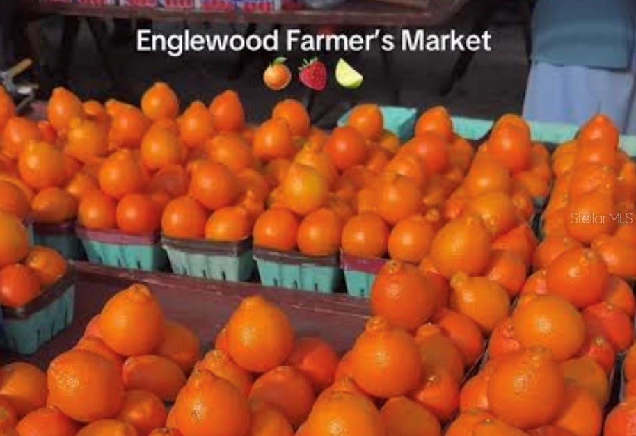 Image 88 of 89 For 15260 Leipzig Circle