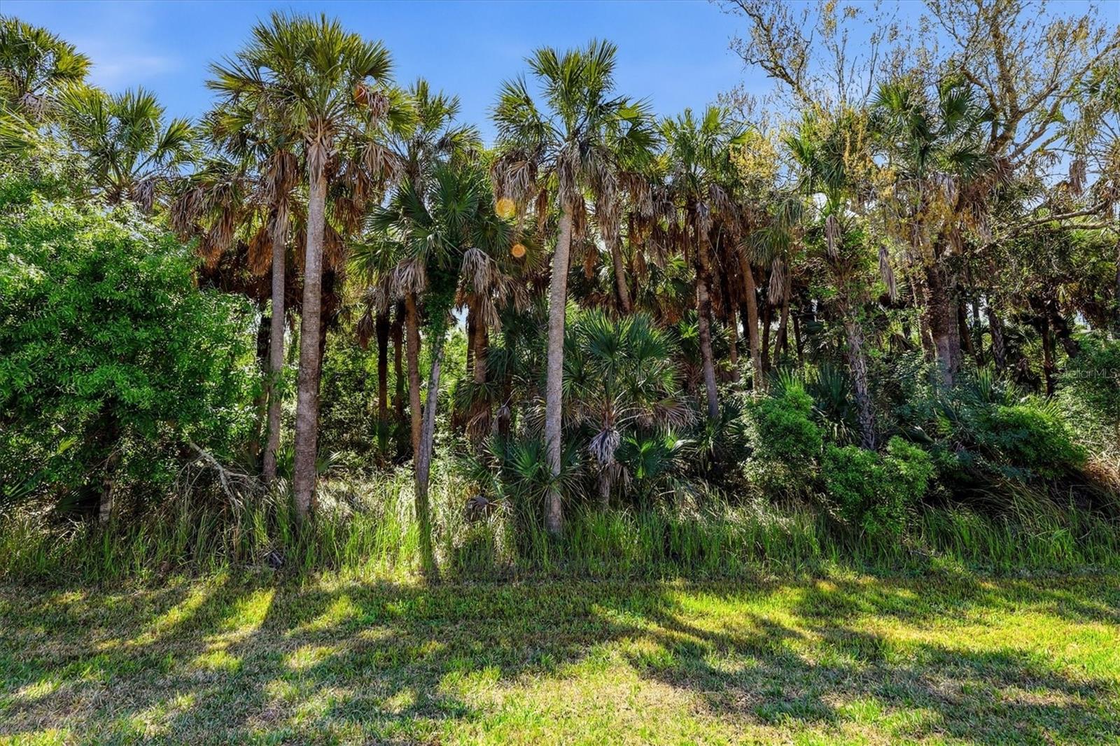 Image 37 of 57 For 12031 Lovegrass Street