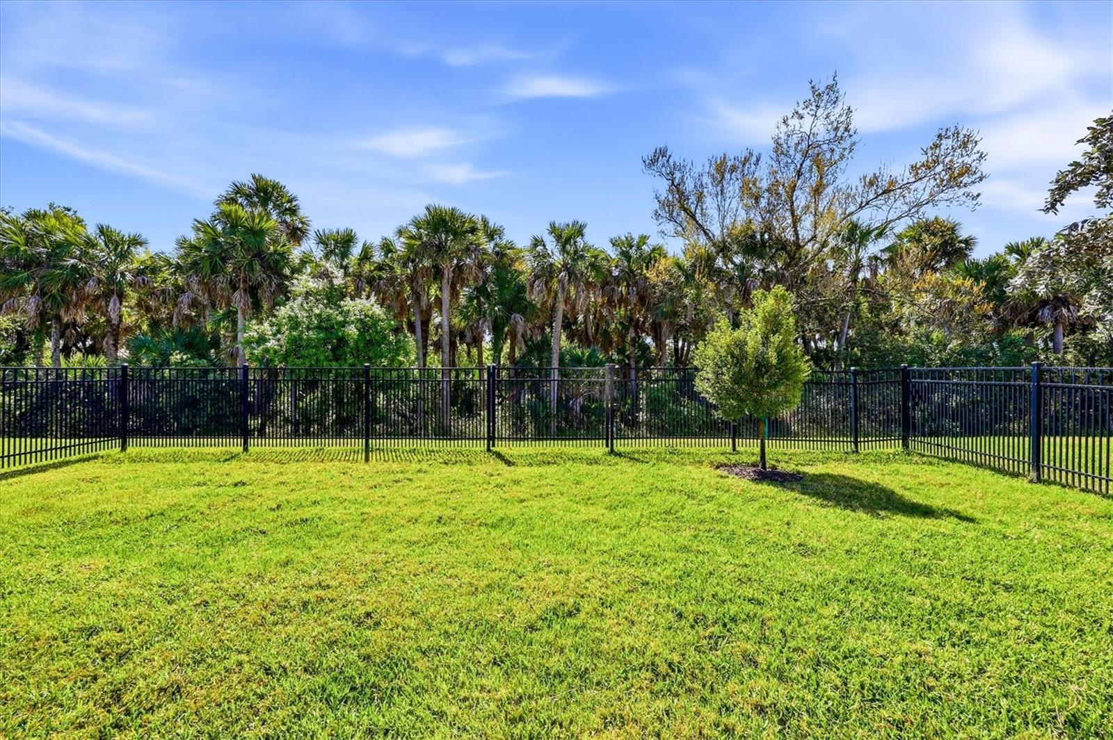 Image 38 of 57 For 12031 Lovegrass Street