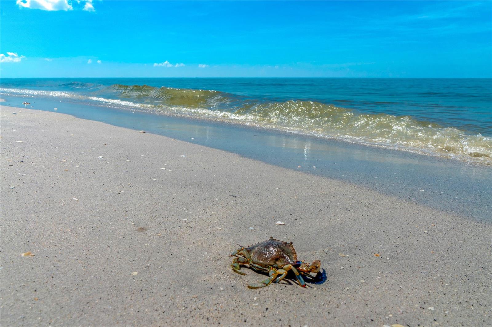 Image 53 of 56 For 6115 Shearwater Drive