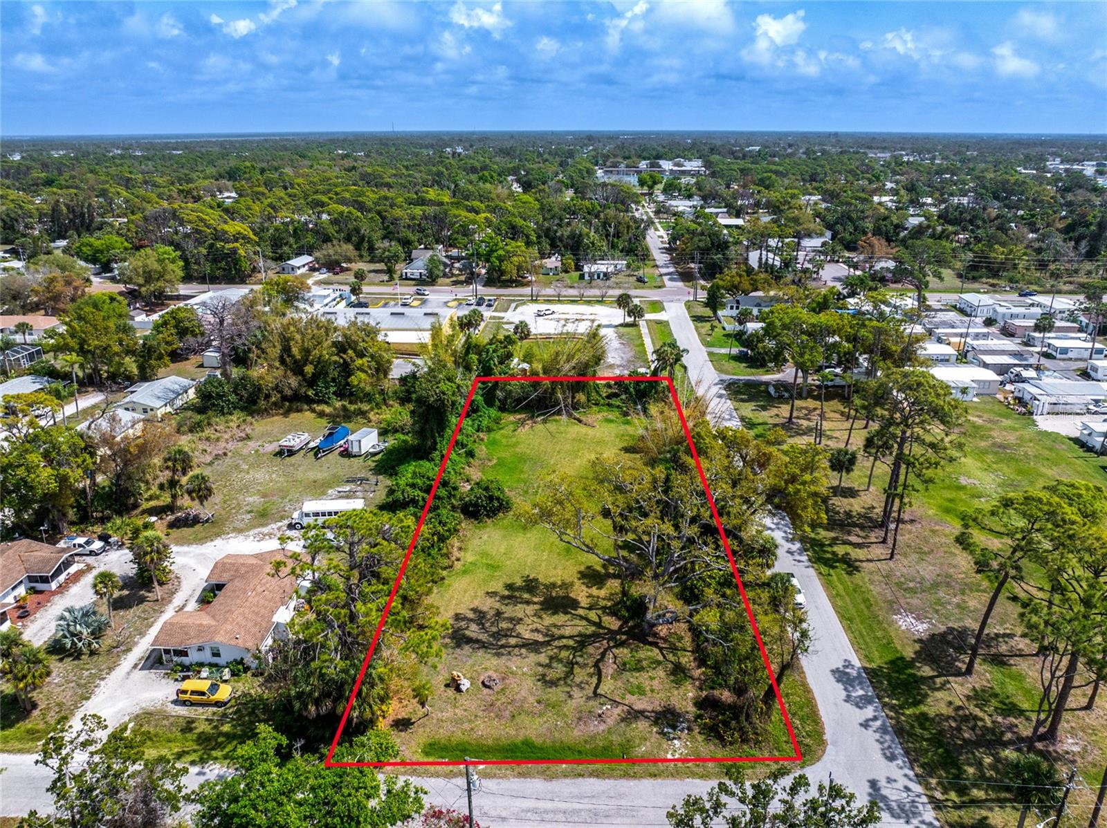 Image 4 of 16 For Pineapple Street