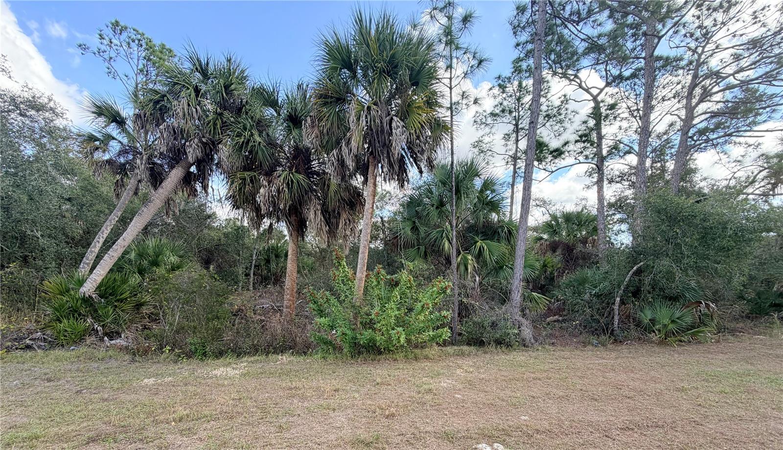 Image 29 of 30 For 2100 Hilton Street