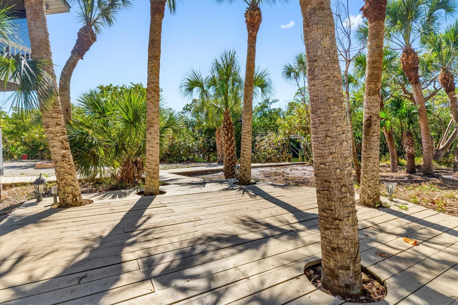 Image 41 of 64 For 51 Palm Drive