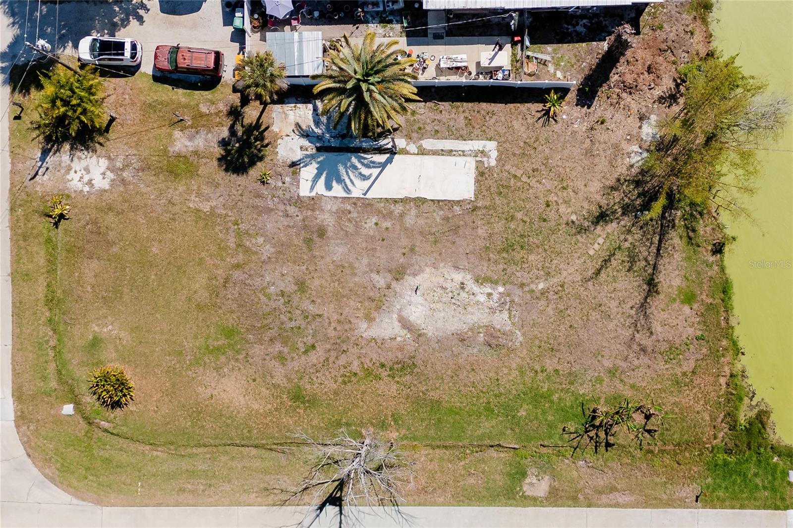 Listing photo id 1 for 8195 Pine Tree Lane