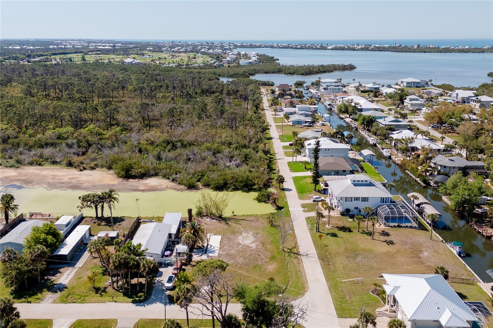 Listing photo id 2 for 8195 Pine Tree Lane