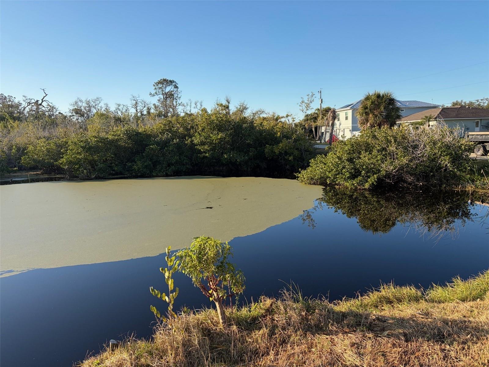 Listing photo id 3 for 8195 Pine Tree Lane