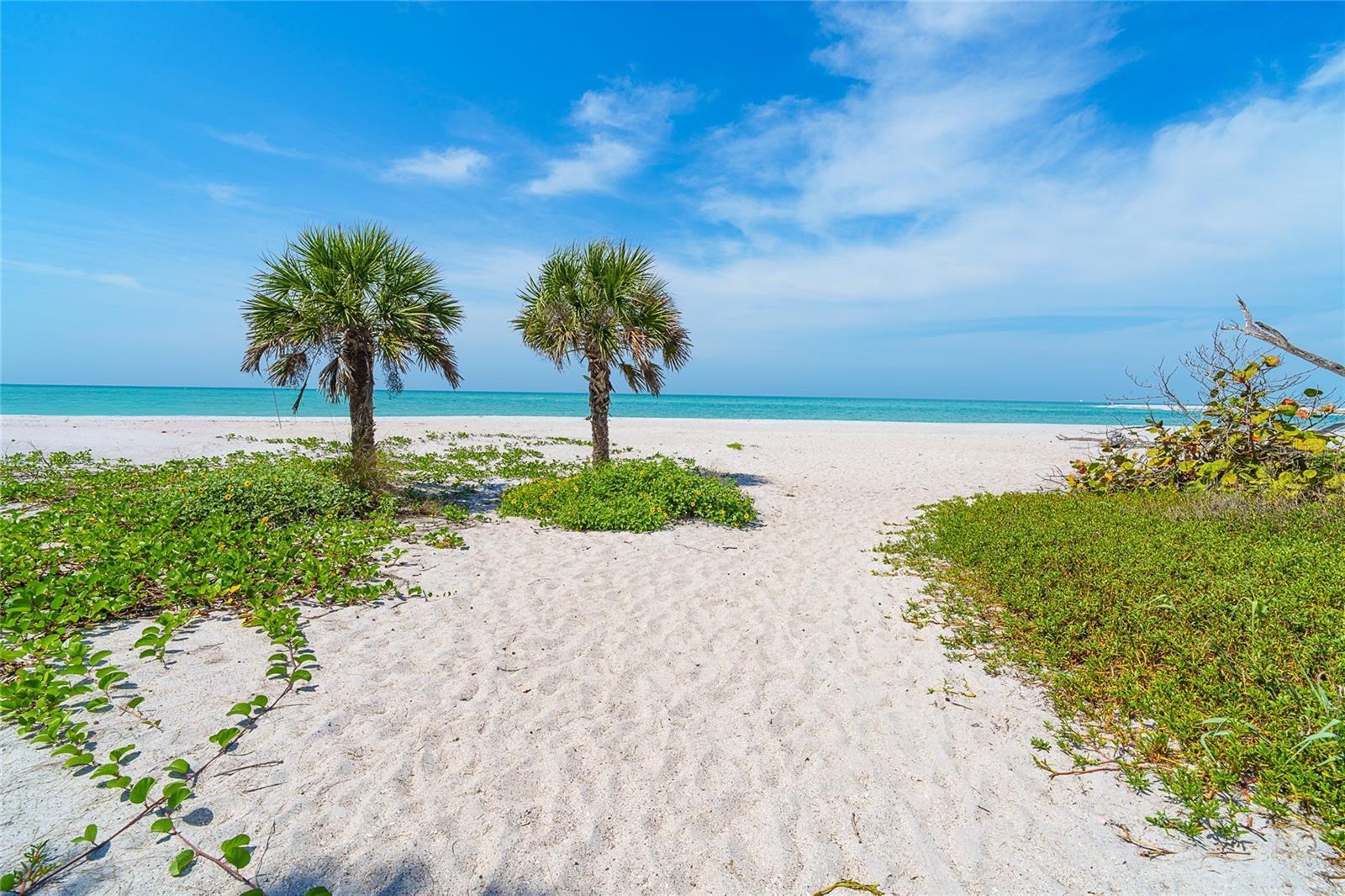 Image 24 of 29 For 7438 Palm Island Drive 3721