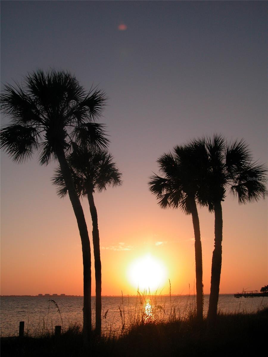 Listing photo id 78 for 400 Gulf Boulevard