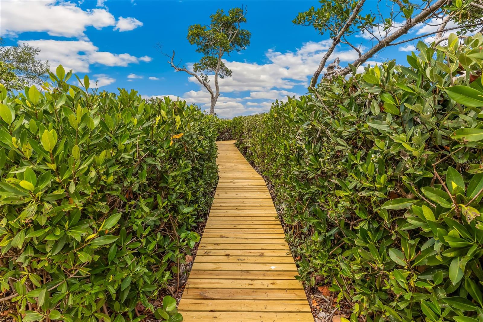 Image 29 of 31 For 1671 Jose Gaspar Drive