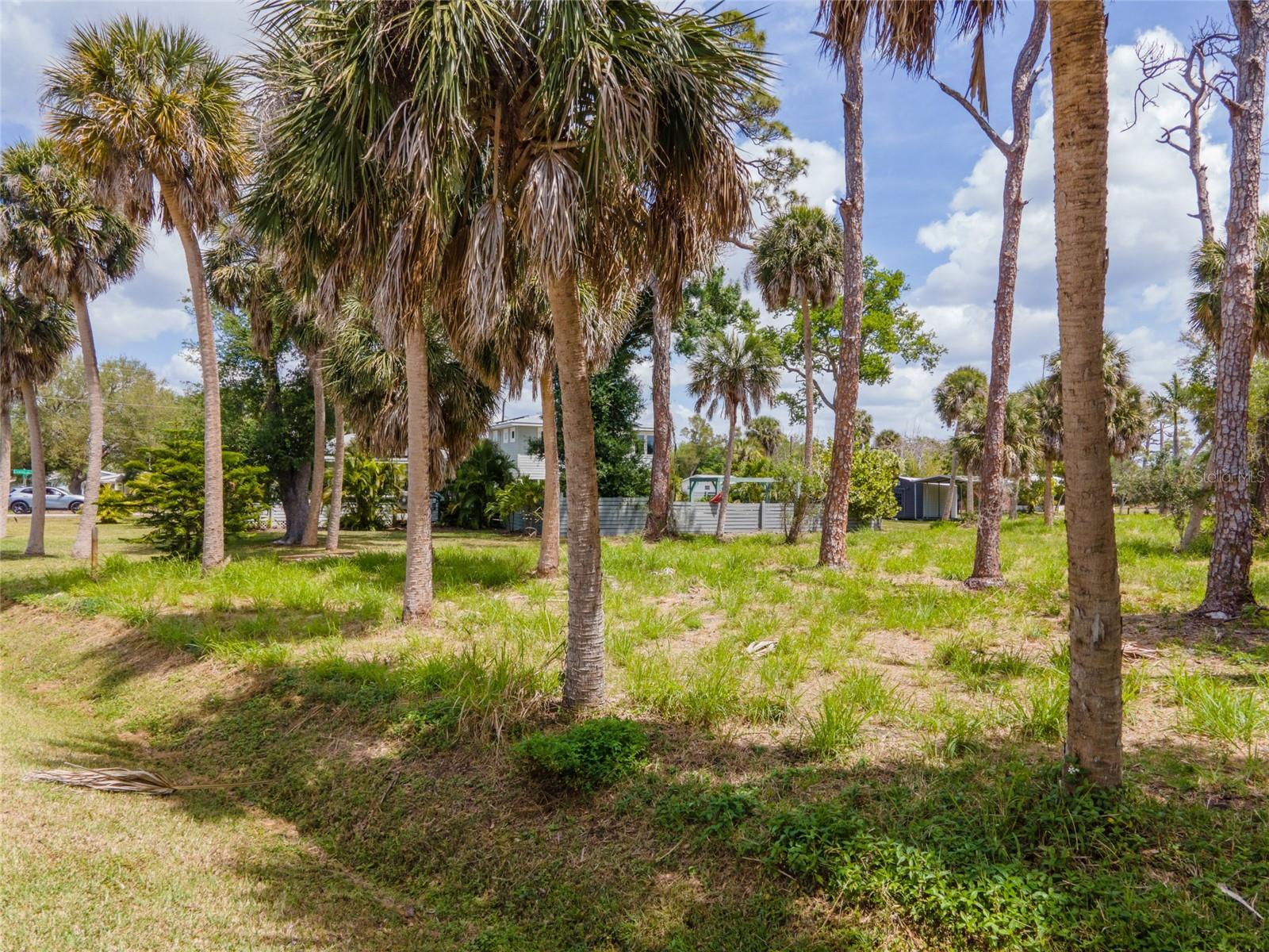 Image 4 of 13 For Cowles Street