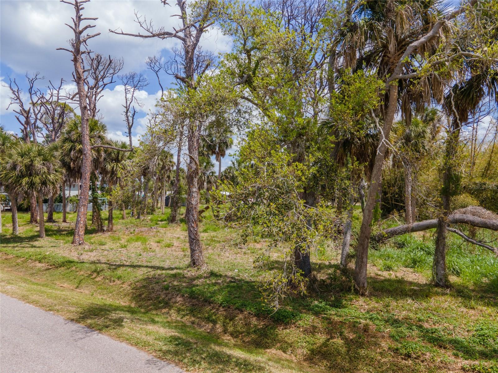 Image 5 of 13 For Cowles Street