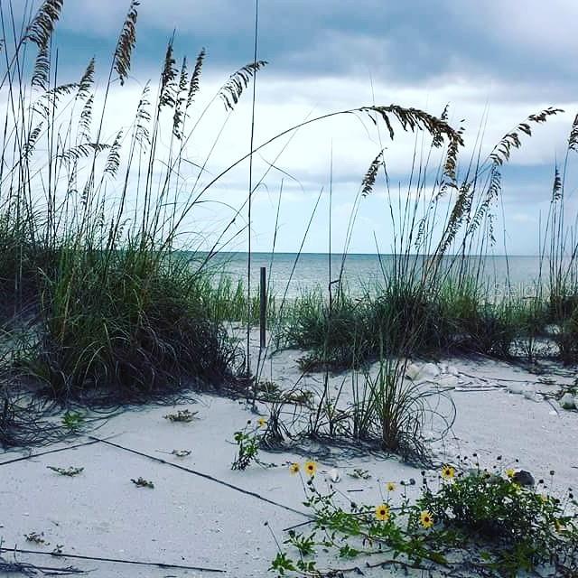 Image 40 of 64 For 431 Kettle Harbor Drive