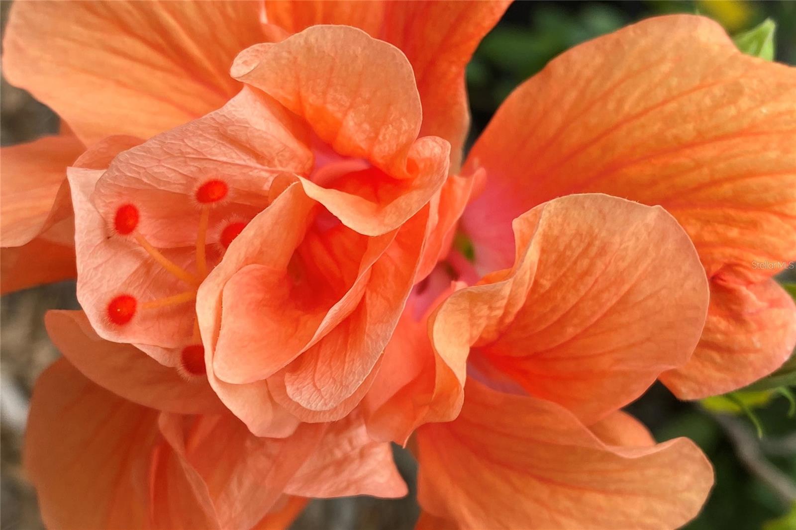 Image 48 of 64 For 431 Kettle Harbor Drive