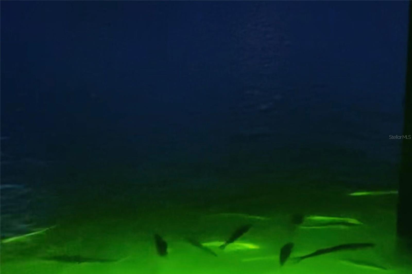 Image 54 of 64 For 431 Kettle Harbor Drive