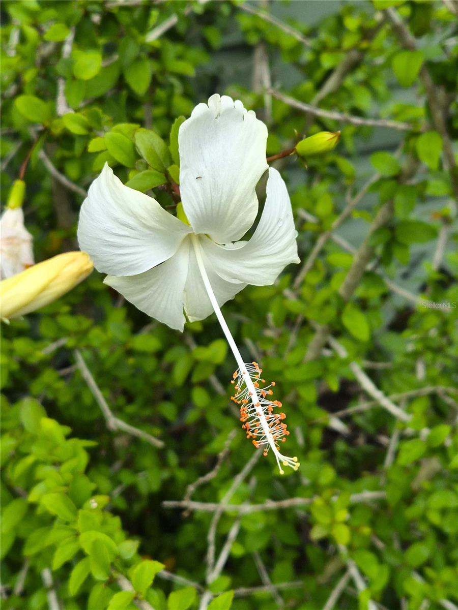 Image 7 of 14 For 15322 Lime Drive