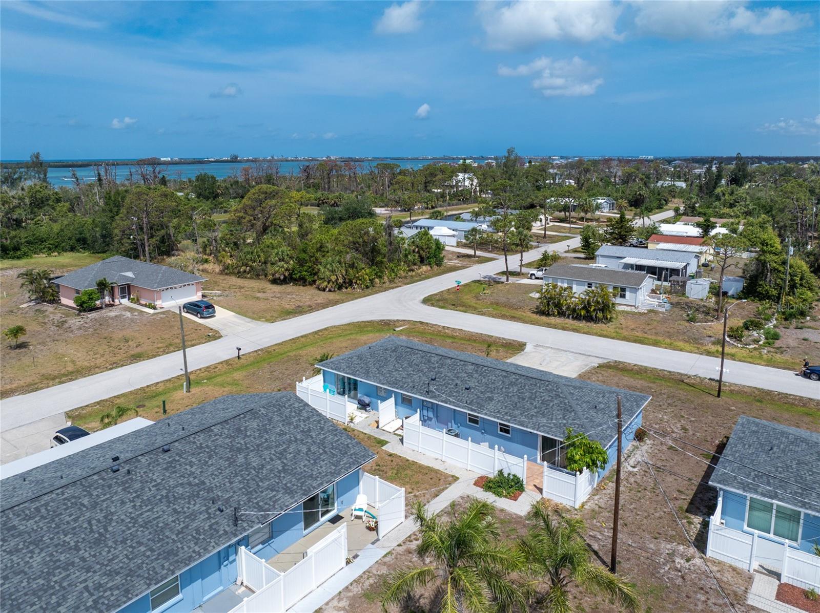 Image 38 of 43 For 1965 Louisiana Avenue