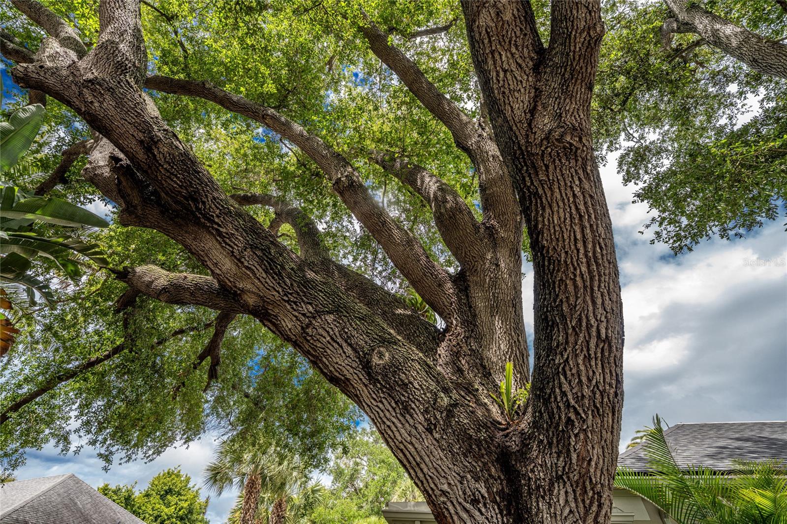 Image 35 of 77 For 4 Curacao Circle 40