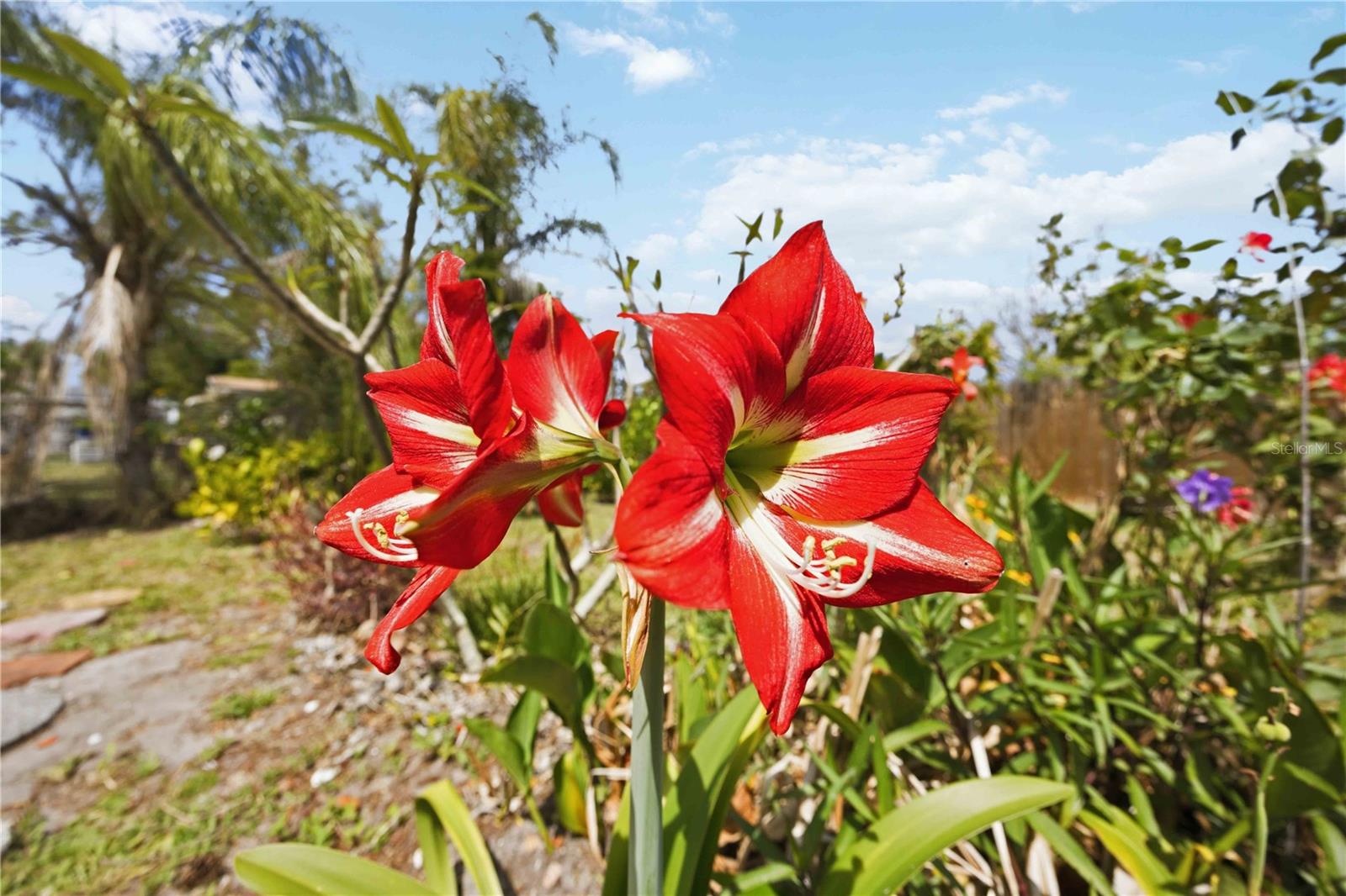 Image 53 of 66 For 917 Church Street