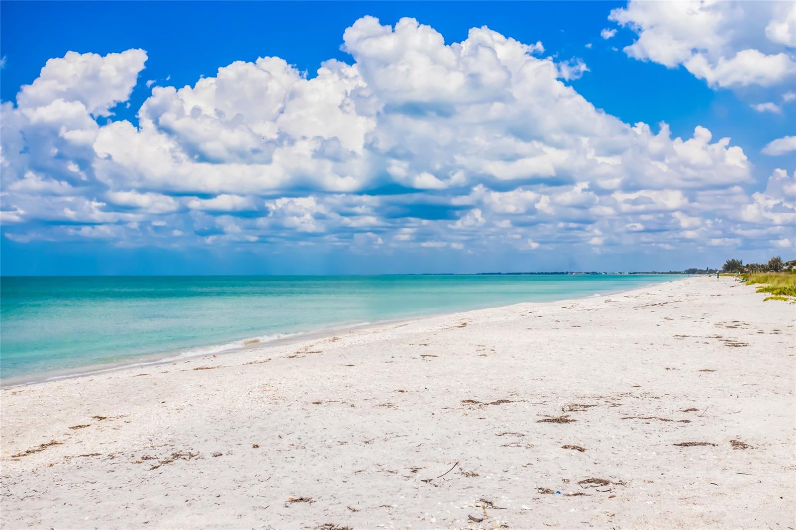 Image 32 of 40 For 420 Gulf Boulevard 9