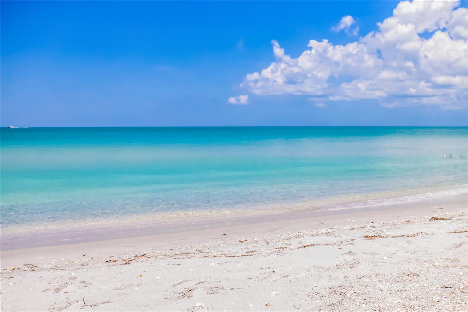 Image 34 of 40 For 420 Gulf Boulevard 9